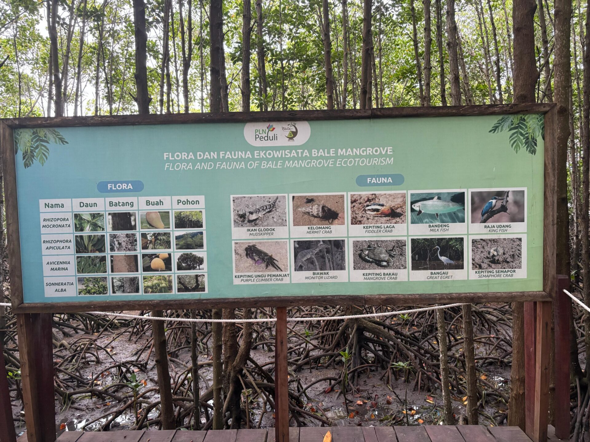 Simpang Jalan Pengelolaan Ekosistem Mangrove di Indonesia
